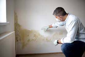 Best Mold Damage Restoration in Boston Heights, OH